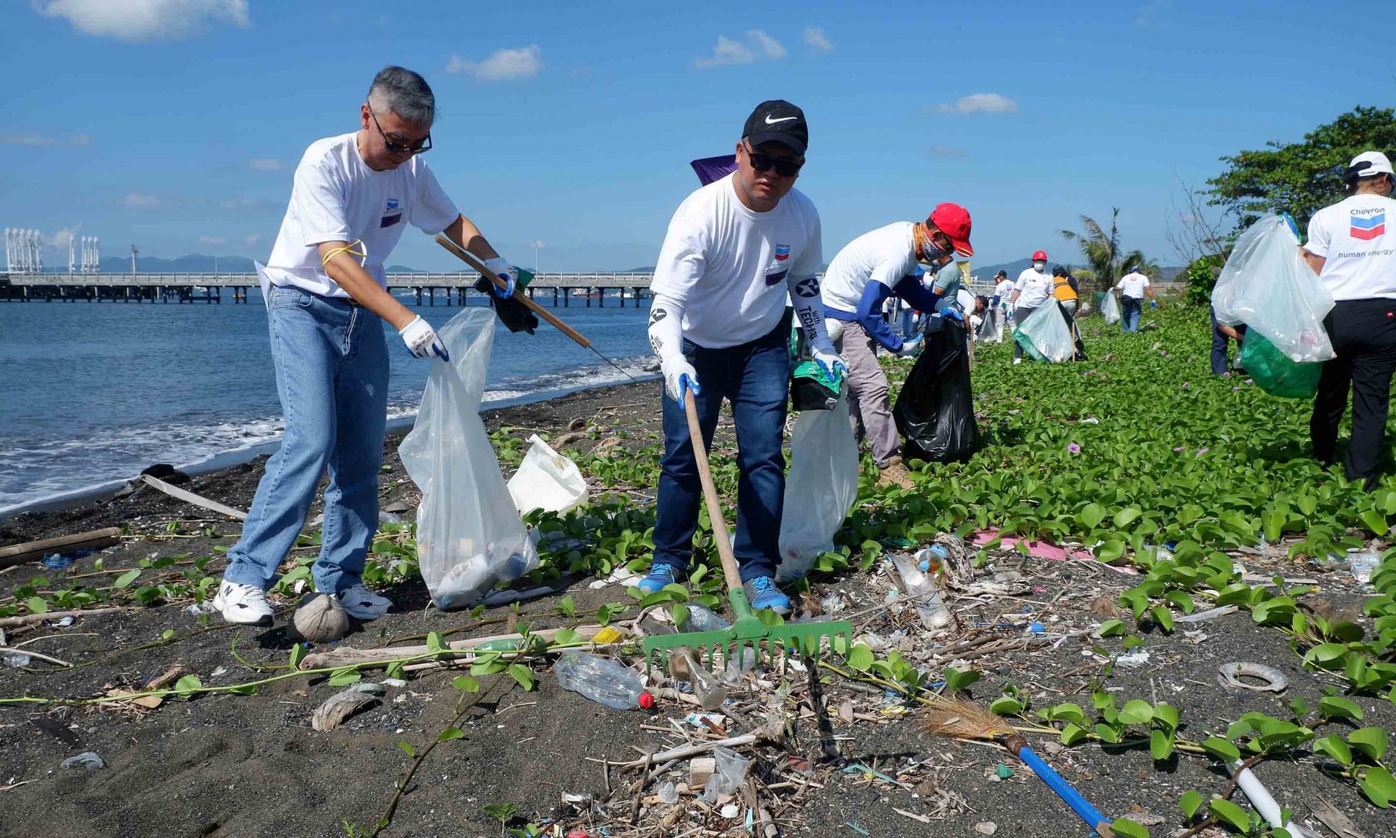 Chevron coastal cleanup