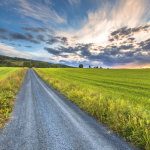 The PRemise: intentionality the way forward
